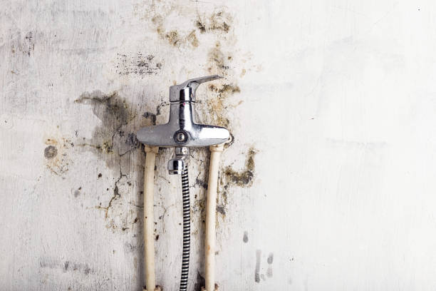 Water Damage Restoration in Placitas, NM