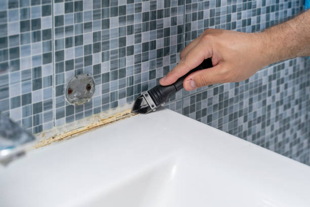 Best Mold Inspection  in Placitas, NM