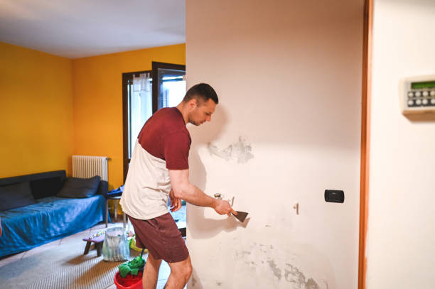 Professional Mold Removal in Placitas, NM